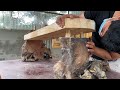 Unique Furniture Made From Tree Stumps And Logs // Tree Stump and Tree Trunk Furniture