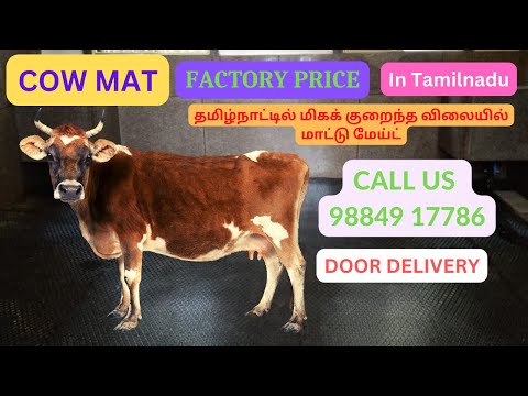 Dairy Buffalo Mat