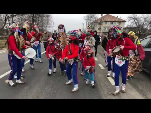 Cerbul din Crivesti 31.12.2018