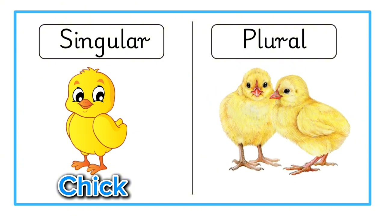 Learn Singular & Plural Nouns | Easy English for Kids #kidslearning