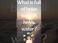 What is full of holes but still holds water? #viral  #shorts #riddle #facts #foryou #entertainment