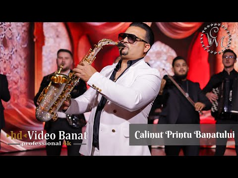 Calinut Printul Banatului - Colaj Instrumental 2025 | Cover