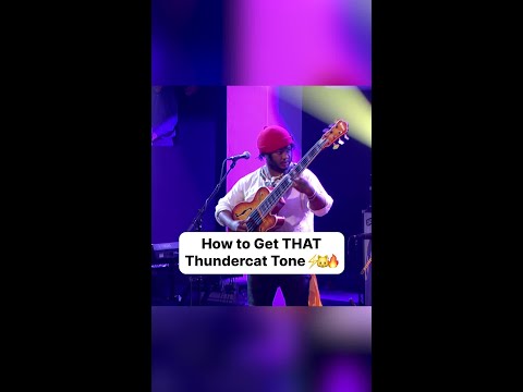 How to Get THAT Thundercat Tone ⚡️🐱🔥