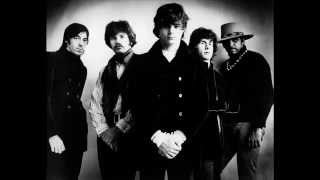 Steve Miller Band - Wild Mountain Honey (Live)
