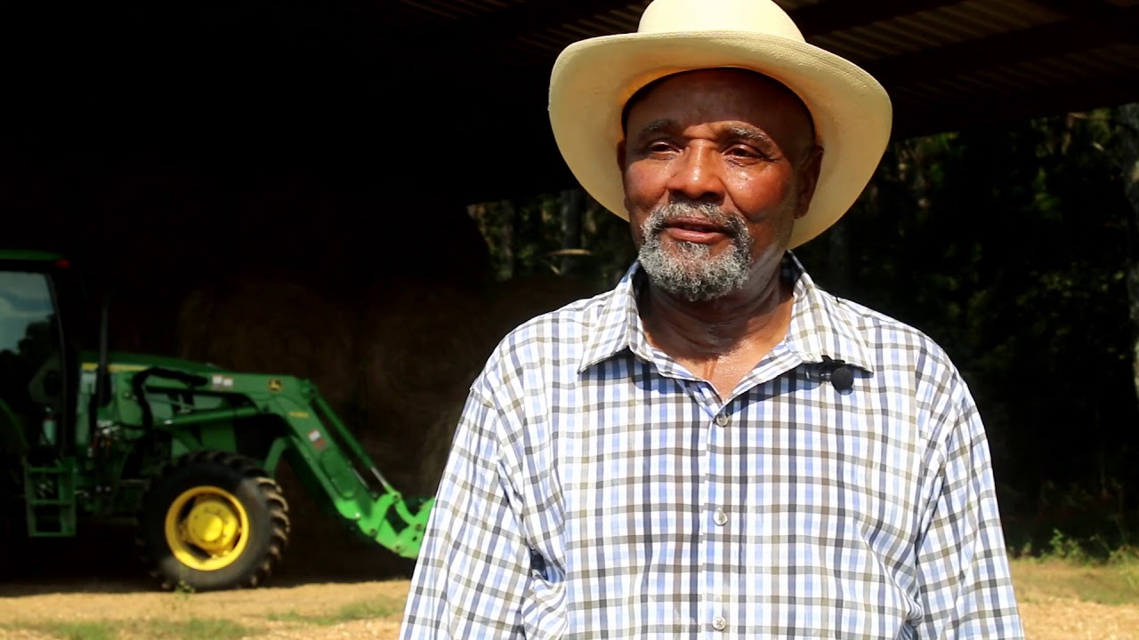 Willie Clay Cattle Farmer