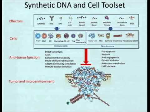 RWMC 05 Applications of Synthetic Biology to Cancer Immunotherapy