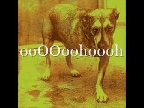 download lagu mp3 mp4 Alice In Chains So Close Lyrics, download lagu Alice In Chains So Close Lyrics gratis, unduh video klip Alice In Chains So Close Lyrics