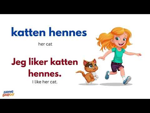 Learn Norwegian Fast | 1-Hour Full Beginner Tutorial