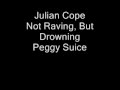 Julian Cope - Nor Raving But Drowning.wmv