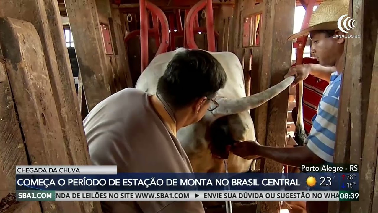 Começa o período de estação de monta no Brasil Central