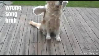 JARA WITH ANGEL WINGS!!!!