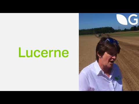 How to Sow Lucerne Seed – Grassland Farming