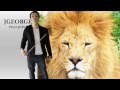Katy Perry - Roar - Cover Violin by JGEORGE ...
