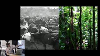 Alice Eldridge: Ecosystemics and Ecoacoustics video