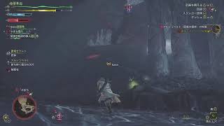 今日から毎日モンハン配信part8チカチカ参戦