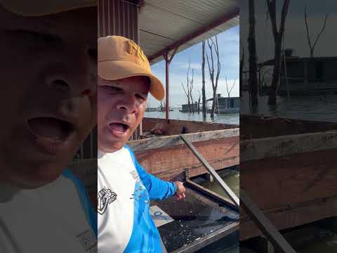 #pescaria mata dos macacos Guaraci São Paulo