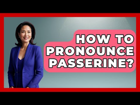How To Pronounce Passerine? - Bird Watching Diaries