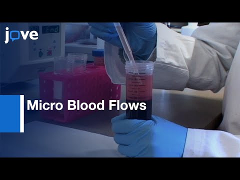Micro-Particle Image Velocimetry-Velocity Profile Measurements: Micro Blood Flows l Protocol Preview