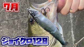 ジョイクロ128｜開始1投目で釣れる！ バス釣り 7月｜スコーピオン ロッド 1703R-2 入魂 ジョインテッドクロー