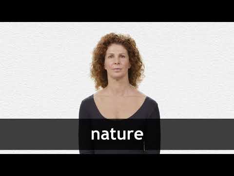Nature definition and meaning | Collins English Dictionary