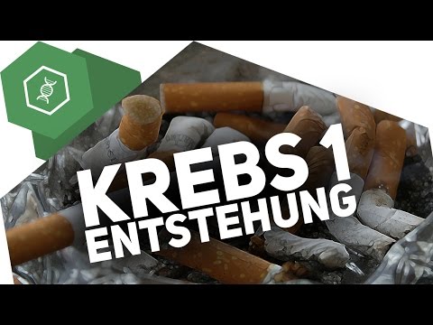 How does cancer develop?! - Cancer 1