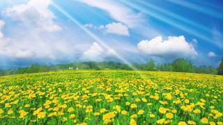 Spring vs Winter - original by Judyesther