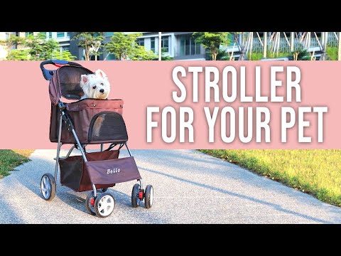 Best Pet Stroller for Your Pets Outdoor Trip