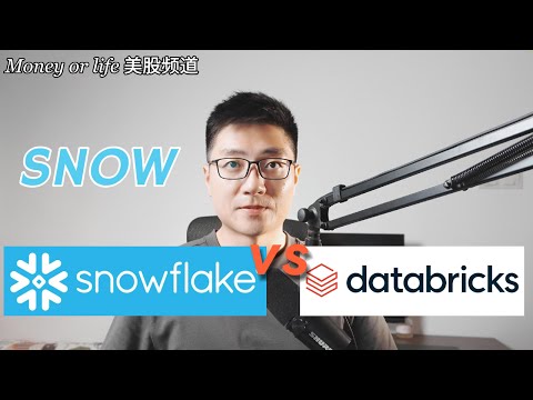 Snowflake到底做什么的? 它是AI时代的数据先锋吗? SNOW对比Databricks, Palantir | SNOW | PLTR | Data Warehouse | Data Lake
