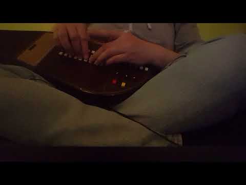 Mollfred - Wie ein Kind (Ärzte Omnichord Cover)