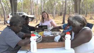 preview picture of video 'Weipa Dig - Shell Sorting'