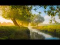 Healing Relaxation Nervous Anxious And Depressive Disorders Relieves Pain Due To Stress