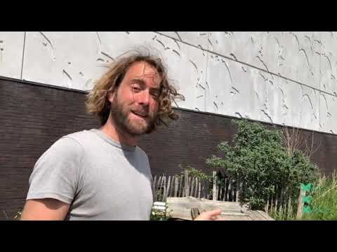 Stadstuinieren voor meer vlinders afl 12: GENIAAL tuinieren op zandgrond