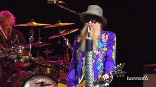 Tube snake boogie - ZZ Top - live 2013