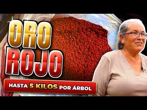La finca pequeña que lo tiene TODO… y un árbol que vale oro