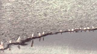 20 Touch 25 - ATC graph [Touch]