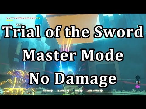 BotW: Trial of the Sword Master Mode No Damage