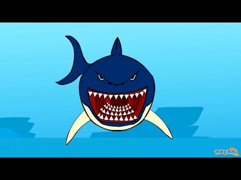Sharks - Creepy Sea Creature Facts | Mocomi Kids Educational Videos