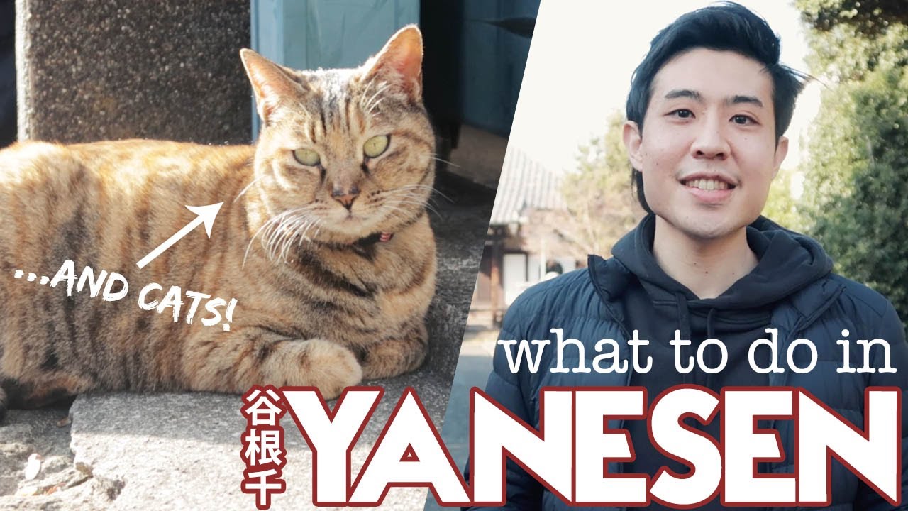 Experience the captivating cinematic spectacle of Yanesen town.