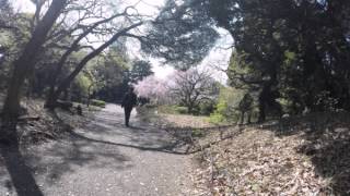 2015-04-09 In the park, Tokyo