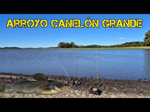 ARROYO EN URUGUAY SOBRE LA RUTA, PESCA DE BAGRES