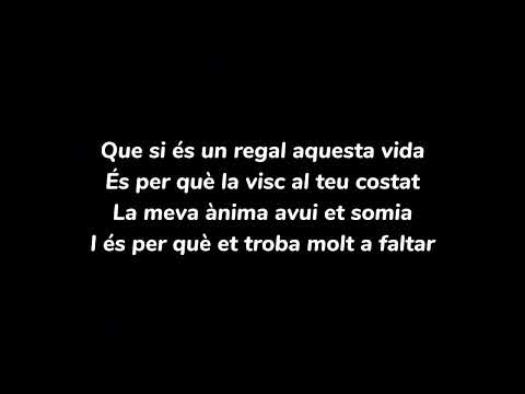 Buhos - T'he trobat a faltar (lletra)