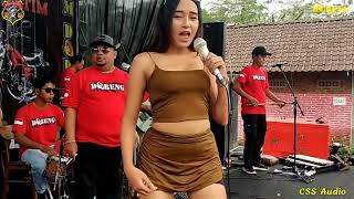 Download lagu CINTA& DILEMA Verin vernanda mp3