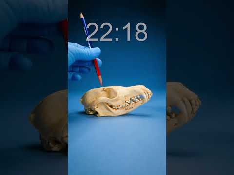 Did you get it right? What time?