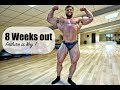 Mike's Wettkampf Tagebuch - 8 weeks out