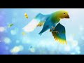 Vasantham Ident August 2012 2015 Version 1