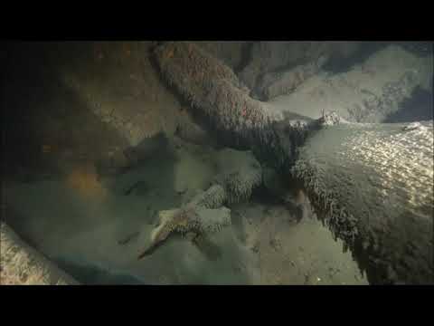 Diving  on a submarine wreck   U-boot  367 typ VIIC