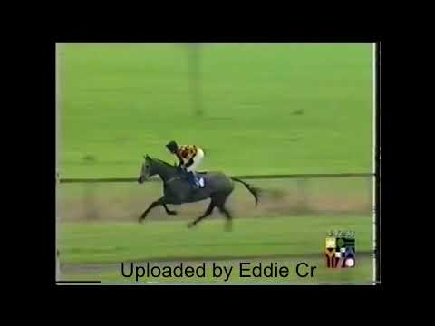 2000 Top Of The North Novice Hurdle Kelso