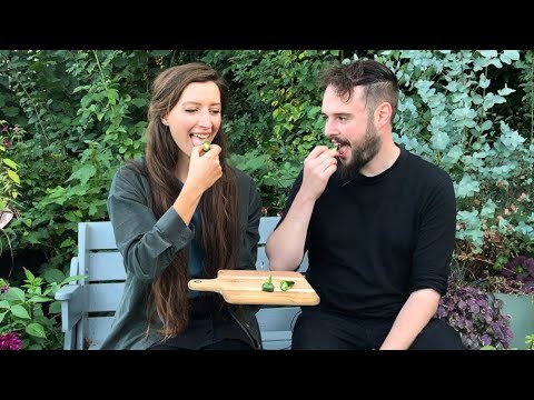 download lagu mp3 mp4 Taste Of Chilli, download lagu Taste Of Chilli gratis, unduh video klip Taste Of Chilli