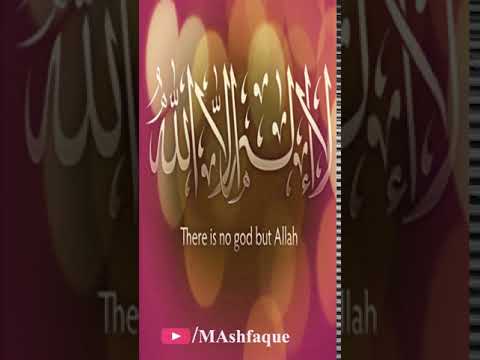download lagu mp3 mp4 Qawwali Video App Download, download lagu Qawwali Video App Download gratis, unduh video klip Qawwali Video App Download