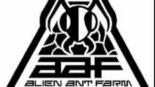 Alien Ant Farm - Stranded (Acoustic)